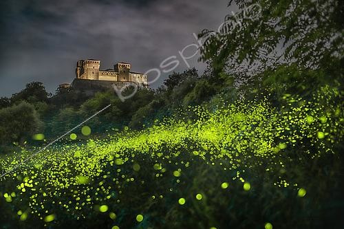 Biosphoto | 2565393 | A multitude of fireflies in front of Torrechiara Castle, Parma, Italy | &copy; Alberto Ghizzi Panizza / Biosphoto