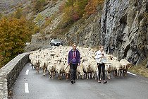 Biosphoto | 2100015 | Alpine descent at the end of October, Upper Tinée Valley, Mercantour, Alps, France | &copy; Robert Valarcher / Biosphoto