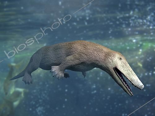 Biosphoto | 2478318 | Ambulocetus natans, ancêtre de la baleine, Eocène du Pakistan. | &copy; Nobumichi Tamura / Stocktrek Images / Biosphoto