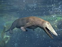 Biosphoto | 2478318 | Ambulocetus natans, whale ancestor, Eocene of Pakistan. | &copy; Nobumichi Tamura / Stocktrek Images / Biosphoto