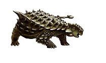 Biosphoto | 2479126 | An armored Saichania ankylosaurid, white background. | &copy; Yuriy Priymak / Stocktrek Images / Biosphoto