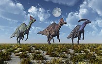Biosphoto | 2477898 | An Orolotitan, a Corythosaurus and a Parasaurolphus duckbilled dinosaur during Earth's Cretaceous period. | &copy; Mark Stevenson / Stocktrek Images / Biosphoto