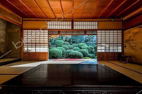 Biosphoto | 2102497 | Anrakuji temple, Kyoto, Japan | &copy; Vincent Marion / Biosphoto