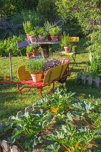 Biosphoto | 2084030 | Aromatiques en pots et jardin potager en carré en juin, Provence, France | &copy; Philippe Giraud / Biosgarden / Biosphoto