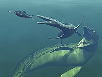 Biosphoto | 2479018 | Artist's concept of primary marine predators that shared the ocean waters of the Western Interior Seaway of North America 75 million years ago. Left to right is a non-descript invertebrate pursued by a 4 foot long Enchodus, followed by a 17 foot long Dolichorhynchops, followed by a 55 foot long Mosasaur. | &copy; Walter Myers / Stocktrek Images / Biosphoto