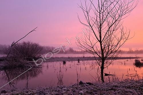 Biosphoto | 2615412 | Berge couverte de givre au lever de soleil sur la Loire en hiver, Mesves-sur-Loire, Nièvre, France | &copy; Pierre Vernay / Biosphoto