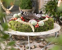 Biosphoto | 1299959 | Bird feeder | &copy; Visions Botanical / Visions Pictures / Biosphoto
