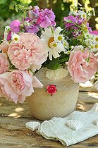 Biosphoto | 2526650 | Bouquet of garden flowers: daisies, roses, sweet peas, asters, hearts and lace for decoration | &copy; Catherine Fruhinsholz / Biosphoto