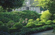 Biosphoto | 2144587 | Boxwood topiary (Buxus sp) and English ivy (Hedera helix), Garden of Piet Bekaert, Bruge, Belgium | &copy; Frédéric Didillon / Biosphoto