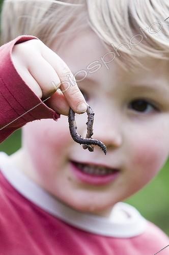 Biosphoto | 1250572 | Boy holding an earthworm in a garden Norfolk UK | &copy; David Tipling / Biosphoto