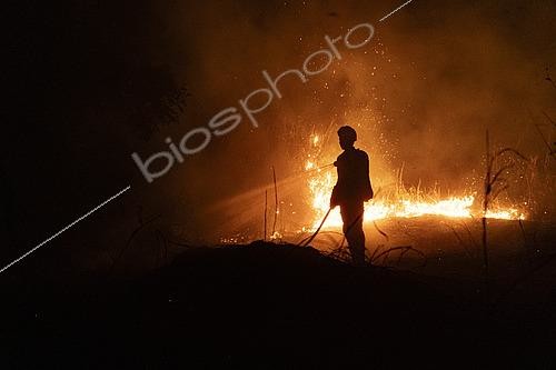 Biosphoto | 2576129 | Bush fire, French Guiana. | &copy; Vincent Premel / Biosphoto