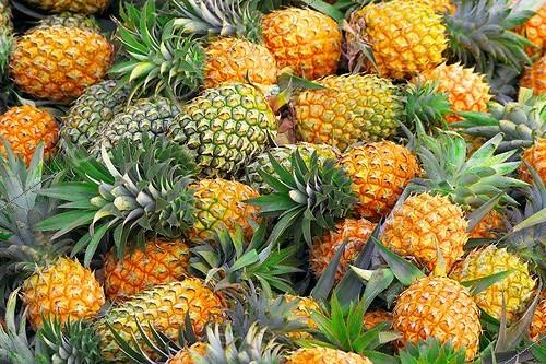 Biosphoto | 1993498 | Cargo Pineapple Vietnam for Hanoi market  | &copy; Laurent Lhoté / Biosphoto