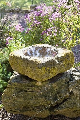 Biosphoto | 729270 | Carved stone trough filled with water in a garden ; It serves as a watering hole for birds  | &copy; Claudius Thiriet / Biosphoto