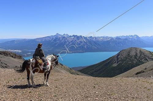 Biosphoto | 1935017 | Cavalier and Chilko Lake - Park Tsylos Rockies Canada | &copy; Muriel Nicolotti / Biosphoto