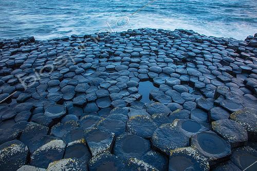 Biosphoto | 2436567 | Chaussée des géants, colonnes de basalte colonnaire, résultat d'une ancienne éruption de fissure volcanique, Irlande du Nord, Royaume-Uni | &copy; John Cancalosi / Biosphoto