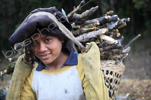 Biosphoto | 1075812 | Child carrying firewood Nepal Himalayas | &copy; Antoine Boureau / Biosphoto