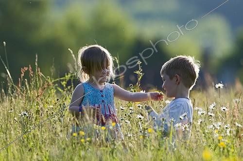 Biosphoto | 1250689 | Children playing in hay meadow in bloom Norfolk UK  | &copy; David Tipling / Biosphoto