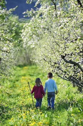 Biosphoto | 1377617 | Children walking in an orchard in the spring France ; Age: 3 and 4 years  | &copy; Régis Domergue / Biosphoto