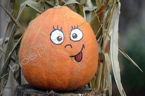 Biosphoto | 1954605 | Citrouille décorée pour Halloween - France | &copy; Dominique Delfino / Biosphoto