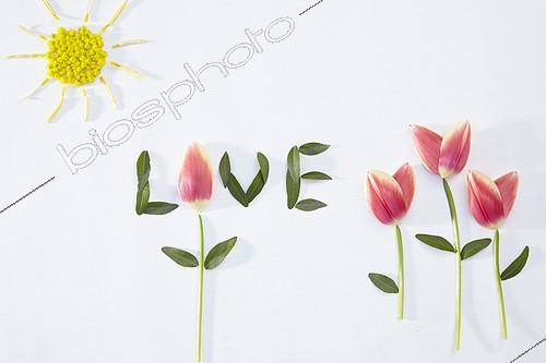 Biosphoto | 2164814 | Collage de printemps | &copy; Visions Pictures / Biosphoto
