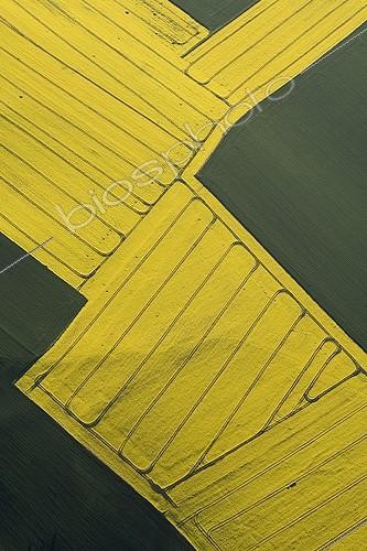 Biosphoto | 537382 | Colza fields in bloom seen from the sky France | &copy; H. Rigel / Biosphoto