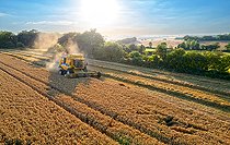 Biosphoto | 2587614 | Combine harvester harvesting wheat, England | &copy; Frédéric Desmette / Biosphoto