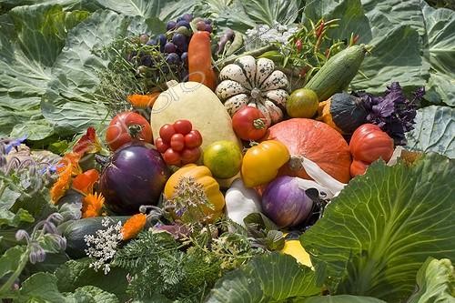 Biosphoto | 617760 | Composition of old and forgotten vegetables | &copy; Claudius Thiriet / Biosphoto