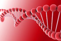 Biosphoto | 2474862 | Conceptual image of DNA. | &copy; Stocktrek Images / Biosphoto