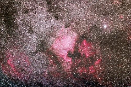 Biosphoto | 2617323 | Constellation du Cygne. Nébuleuse North America. L'étoile brillante est Deneb. Région d'Esternay, Marne. France. | &copy; Christophe  Lehénaff / Biosphoto