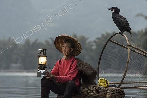 Biosphoto | 2078532 | Cormorant fishing on the Li River, Guangxi, China | &copy; Alexandre Sattler / Biosphoto