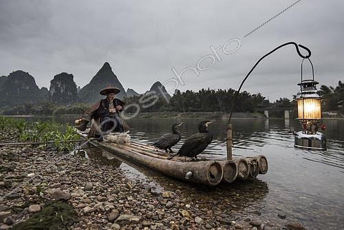 Biosphoto | 2078538 | Cormorant fishing on the Li River, Guangxi, China | &copy; Alexandre Sattler / Biosphoto