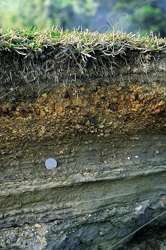Biosphoto | 290393 | Coupe d'un andosol sur une couche de piroclastes | &copy; Antoni Agelet / Biosphoto