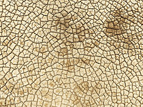 Biosphoto | 2622117 | Cracked earth. Aerial view. Drone shot. Namib Desert, Skeleton Coast, Namibia. | &copy; Thomas Dressler / Biosphoto