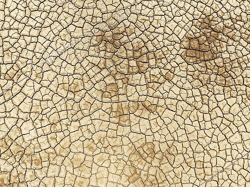 Biosphoto | 2622117 | Cracked earth. Aerial view. Drone shot. Namib Desert, Skeleton Coast, Namibia. | &copy; Thomas Dressler / Biosphoto