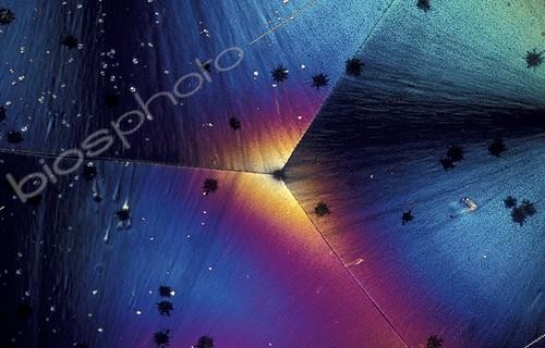 Biosphoto | 46590 | Cristal de bicarbonate de soude en microscopie | &copy; Georges Lopez / Biosphoto