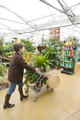 Biosphoto | 563620 | Customer with a caddy in a garden center | &copy; Claudius Thiriet / Biosphoto