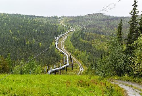 Biosphoto | 2149828 | Dalton Highway : from Fairbanks to Prudhoe Bay, Trans Alaska Pipeline System (TAPS), In the fall the pipeline in its flight south of the Brooks Range (Brooks Range) and Atigun Pass (Atigun Pass, mile 244), Alaska, USA | &copy; Robert Valarcher / Biosphoto
