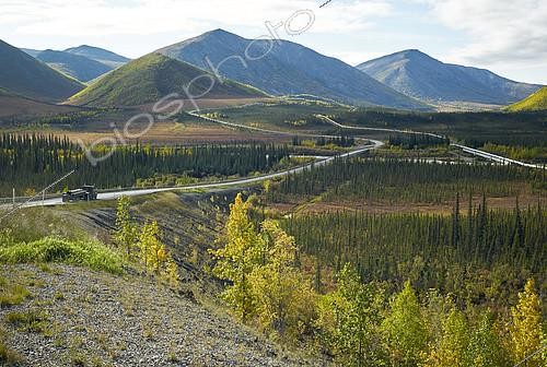 Biosphoto | 2149847 | Dalton Highway : from Fairbanks to Prudhoe Bay, Trans Alaska Pipeline System (TAPS), In the fall the pipeline in its flight south of the Brooks Range (Brooks Range) and Atigun Pass (Atigun Pass, mile 244), Alaska, USA | &copy; Robert Valarcher / Biosphoto