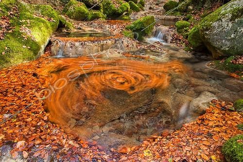 Biosphoto | 2025939 | Dead leaves swirling in a river - Bauges Alps France  | &copy; Rémi Masson / Biosphoto