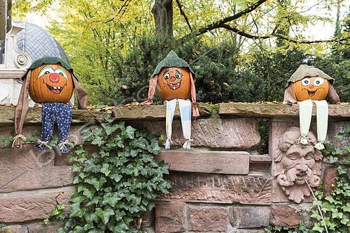 Biosphoto | 2150429 | Decorated pumpkins for Halloween, Germany | &copy; Yann Avril / Biosphoto