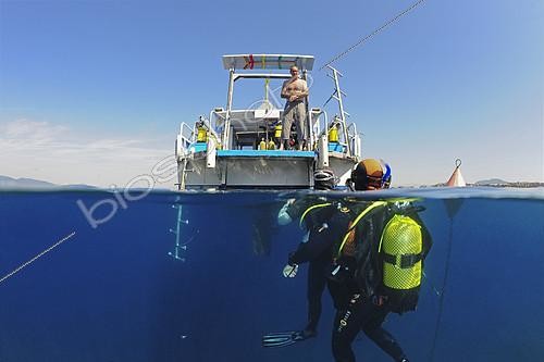 Biosphoto | 2129636 | Departure of a training level 4, 800 m capelé, Diving center underwater adventure, Saint-Raphaël, Var, France | &copy; Jean Cassou / Biosphoto