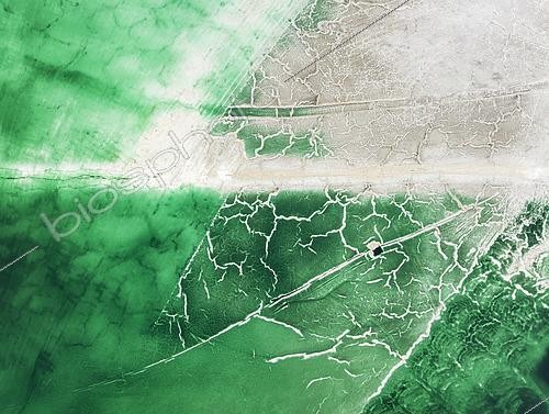 Biosphoto | 2577437 | Détail d'un bassin de déchets toxiques de phosphogypse dans les environs de la ville de Huelva. Vue aérienne. Prise de vue par drone. Province de Huelva, Andalousie, Espagne. | &copy; Thomas Dressler / Biosphoto
