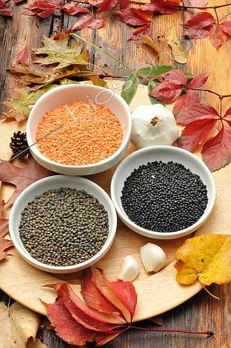 Biosphoto | 2545785 | Different varieties of lentils, Lens culinaris, Coral lentils, Beluga lentils or lentil caviar, Green lentils, and Garlic pods (Allium sativum) | &copy; Catherine Fruhinsholz / Biosphoto