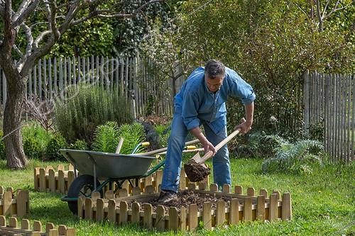 Biosphoto | 1876873 | Digging in a garden | &copy; Philippe Giraud / Biosphoto