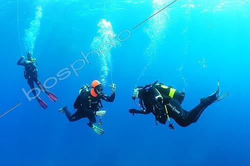 Biosphoto | 2140153 | Divers performing his decompression stop, Antheors Péniches dive site, Côte d'Azur, France | &copy; Jean Cassou / Biosphoto