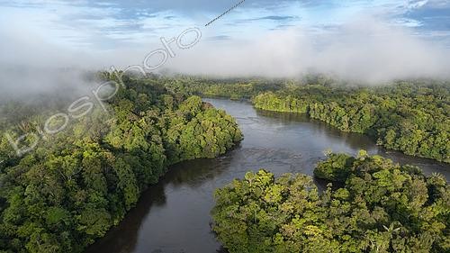 Biosphoto | 2564615 | Drone view of the Amazon rainforest, Approuage River, French Guiana | &copy; Vincent Premel / Biosphoto