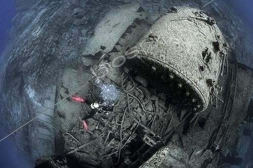 Biosphoto | 2615543 | El Condesito Wreck. It ran aground and sank in the early hours of September 27, 1973, after striking the rocks near Punta Rasca, in the south of Tenerife. Embedded in the basaltic cliffs, it rests at a maximum depth of about 18 meters. Of the bow, only the deck frames remain, along with a pile of wreckage: the boiler, cranes, metal plates, etc., and some hardened cement sacks that made up its main cargo. The stern, the best-preserved section, extends seaward. Its hold, wide and safe, is easy to access. The twisted propeller provides shelter for numerous fish. Canary Islands. | &copy; Sergio Hanquet / Biosphoto