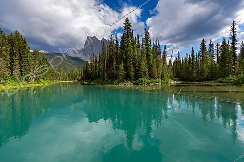 Biosphoto | 2613722 | Emerald Lake, Yoho National Park, British Columbia, Canada. Framed by the snow-capped peaks of Wapta and Cameron, the intense green waters of Emerald Lake are breathtaking. It is the silt, fine rock powder carried by glacial meltwater, that gives the lake its rich turquoise reflections. | &copy; Evelyne Boyard / Biosphoto