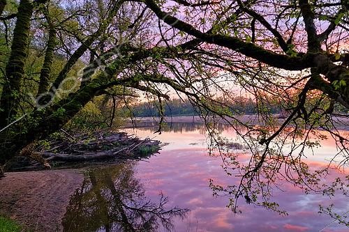 Biosphoto | 2615426 | Entrée d'un bras de Loire à sec, paysage de Loire à l'aube, Nièvre, France | &copy; Pierre Vernay / Biosphoto