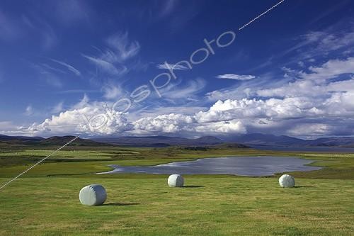Biosphoto | 1624440 | Field and ready for winter forage in Iceland  | &copy; Laurent Lhoté / Biosphoto